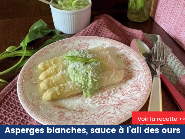 Asperges blanches, sauce à l’ail des ours